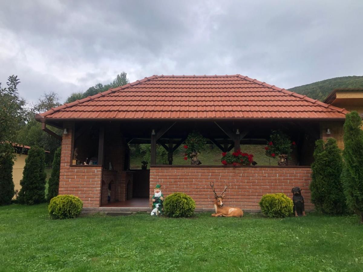 Гостевой дом Casa Antonia Chişcău-7