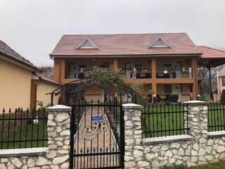 Гостевой дом Casa Antonia Chişcău-0